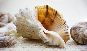 Top Beaches to Visit in Europe: Sun, Sand, and Serenity Top Beaches to Visit in Europe: Sun, Sand, and Serenity
